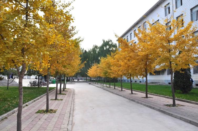 山西林业职业技术学院校园