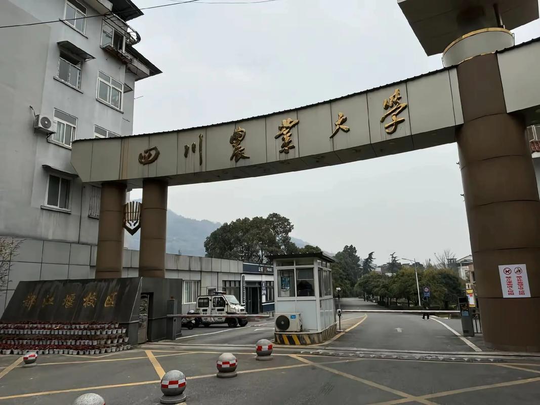 四川农业大学校园风光 2