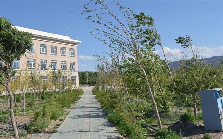 新疆能源职业技术学院校园风光 3
