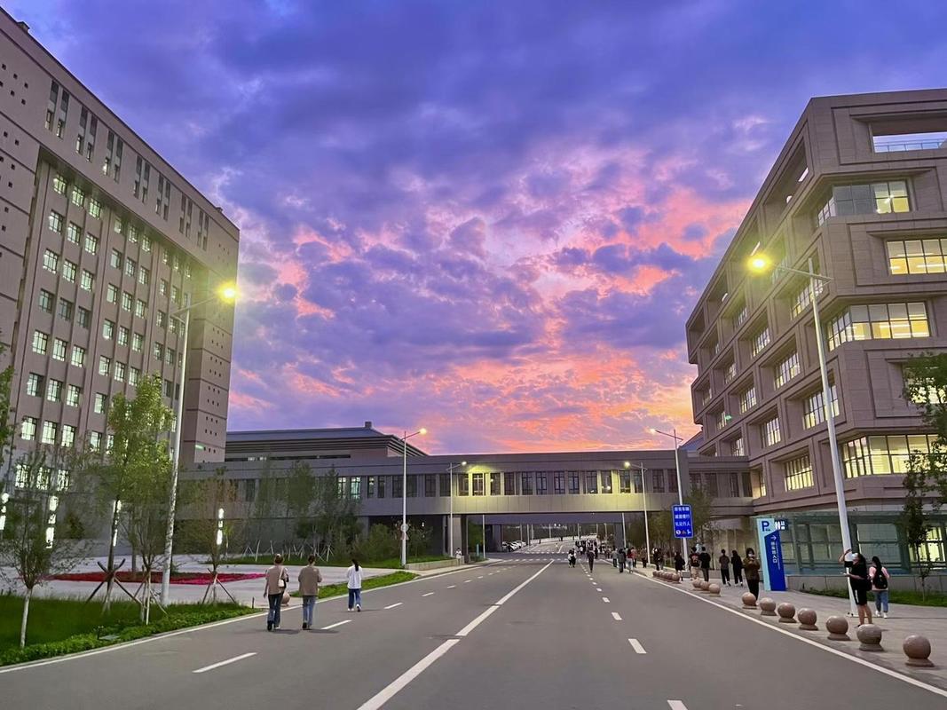 新疆医科大学校园风光 3